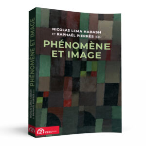 Phénomène et image